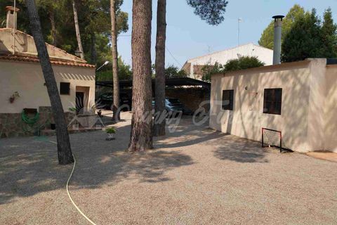 Landejendom i Almansa, Albacete, Almansa - € 235.000 | Ref: SF0548 - foto 20